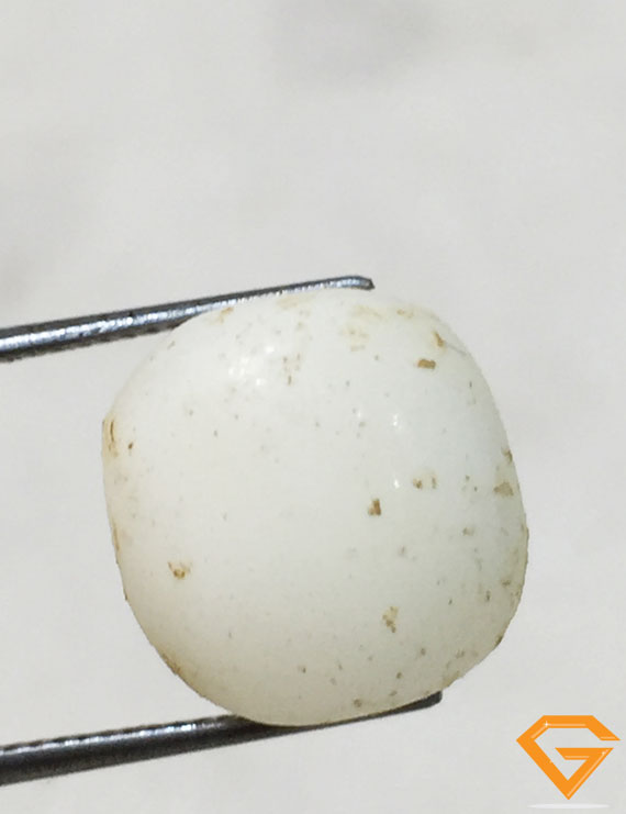 7.62 ratti/6.86 ct Natural Certified  White Coral/सफ़ेद मूंगा